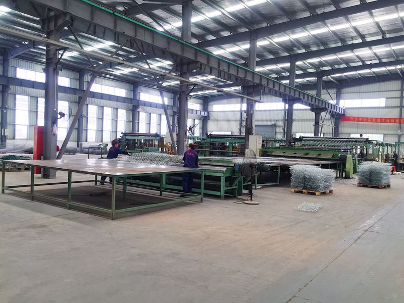 Jiangyin Jinlida Light Industry Machinery Co.,Ltd linea di produzione in fabbrica