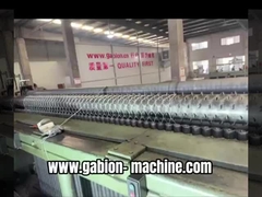 Immergiti nel suono di funzionamento standard d'oro della macchina di rete di gabbia di pietra di fabbricazione cinese