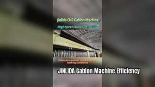 Il funzionamento stabile rivela la logica fondamentale della produzione di reti di gabbioni su larga scala