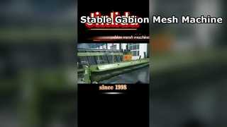 Macchina per gabbioni costruita per l'espansione della fabbrica e la stabilità a lungo termine