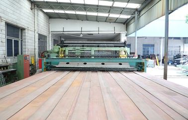 comprare Linea di produzione esagonale del gabbione della rete metallica certificato del CE di controllo dello SpA fabbricazione online